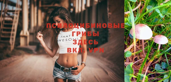 прущая мука Алзамай