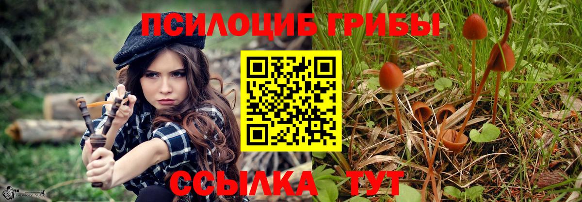 Галлюциногенные грибы Psilocybine cubensis  Псилоцибиновые грибы GOLDEN TEACHER  купить закладку  Шатура  Вход с VPN 