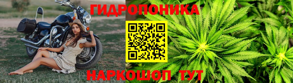 Бошки марихуана план  Бошки марихуана White Widow  МАРИХУАНА MAZAR  Вход с VPN  Марихуана Bruce Banner  Шатура 